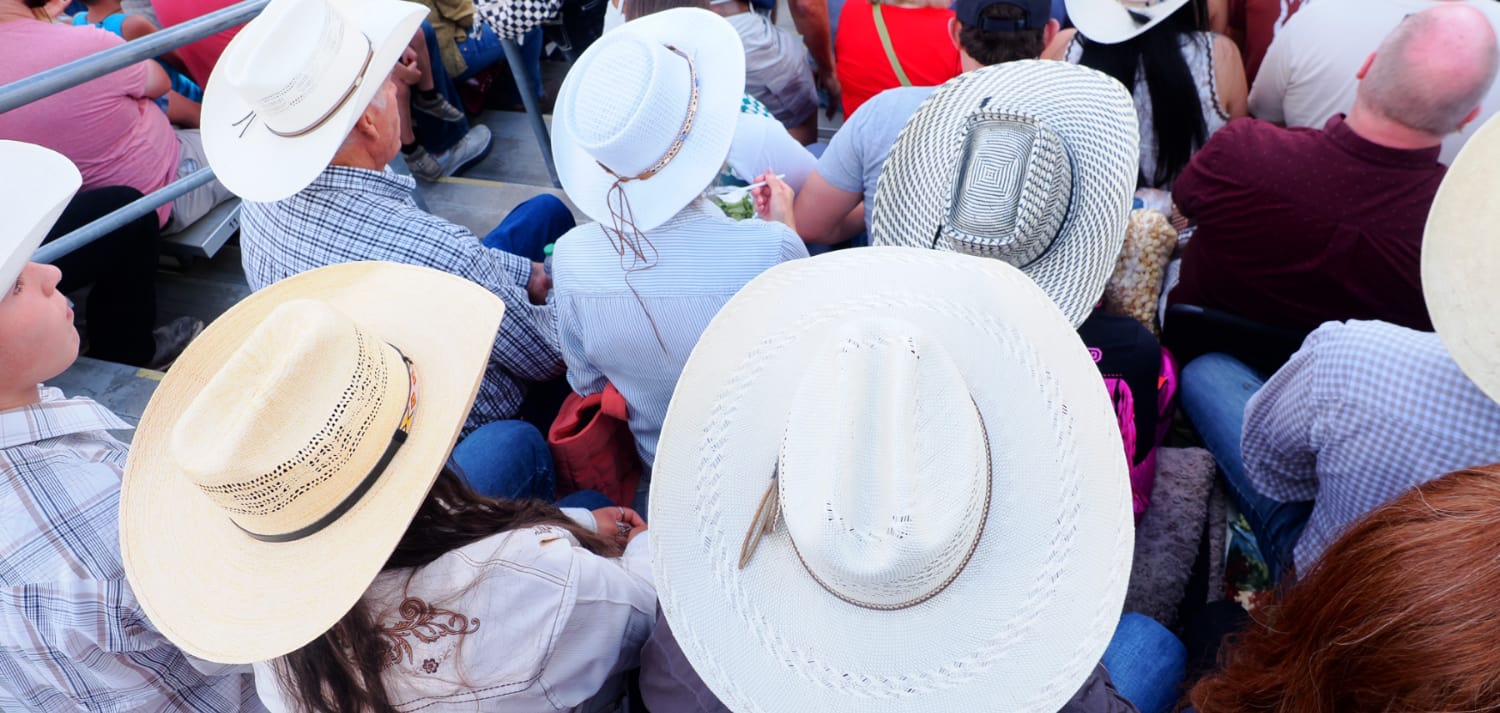 Neon color image of a band playing and people singing along